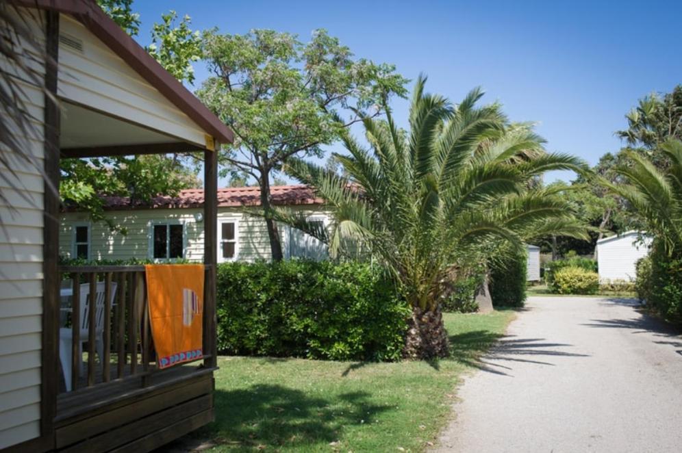 Camping Les Avignon - La Laune Villeneuve-lès-Avignon Dış mekan fotoğraf